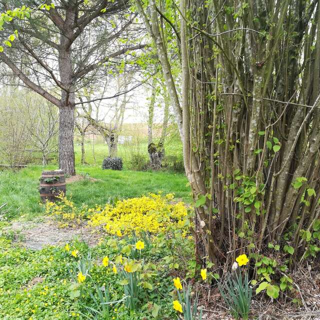 Gîte Les Mazes