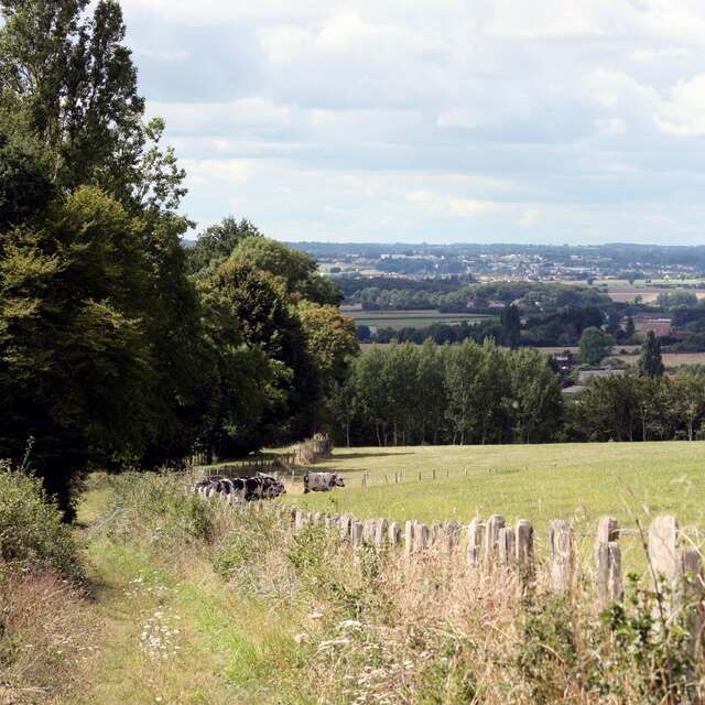 N°21 : Autour du Mont Chauvel