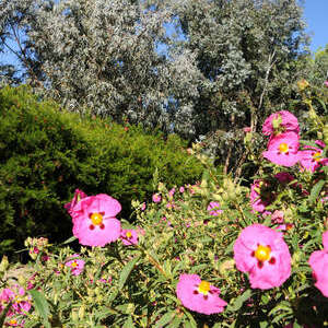 JARDINS D'OCÉANIS