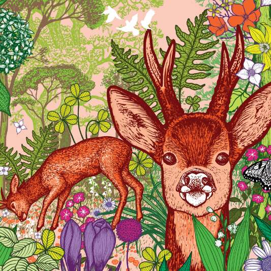EXPOSITION "LES MURMURES DE LA FORÊT" PAR MICHEL CAILLOUX