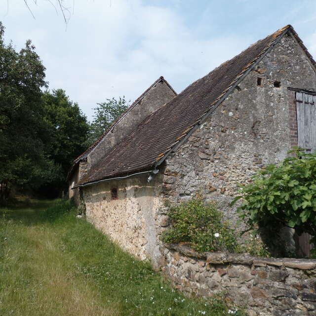 N°36 : Essences des haies du Perche Sarthois