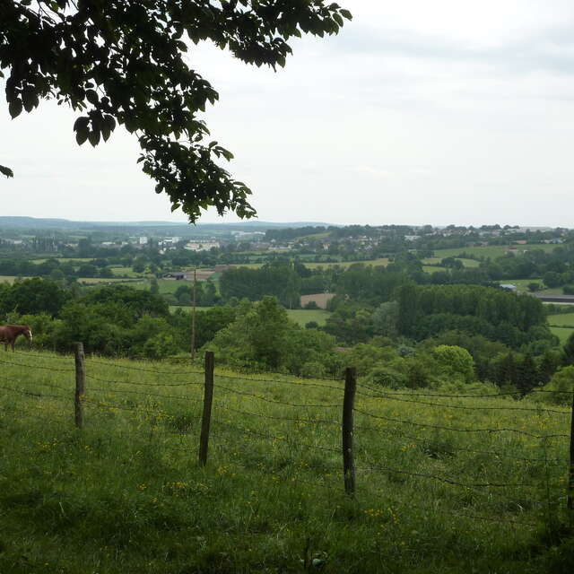 N°9 : Paysages de la Vallée de l'Huisne