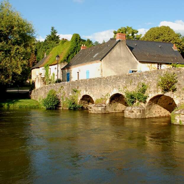 Tour de trompe-souris