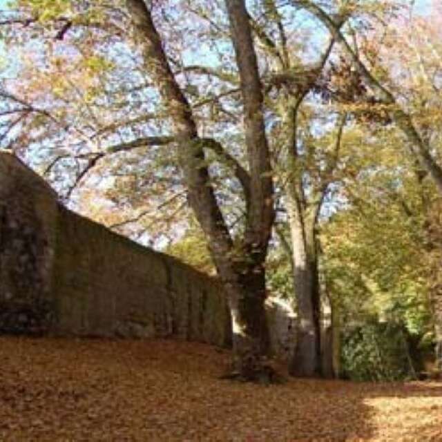 Visite guidée : le coin des enfants - A l'assaut des fortifications ! entre ruines et nature...