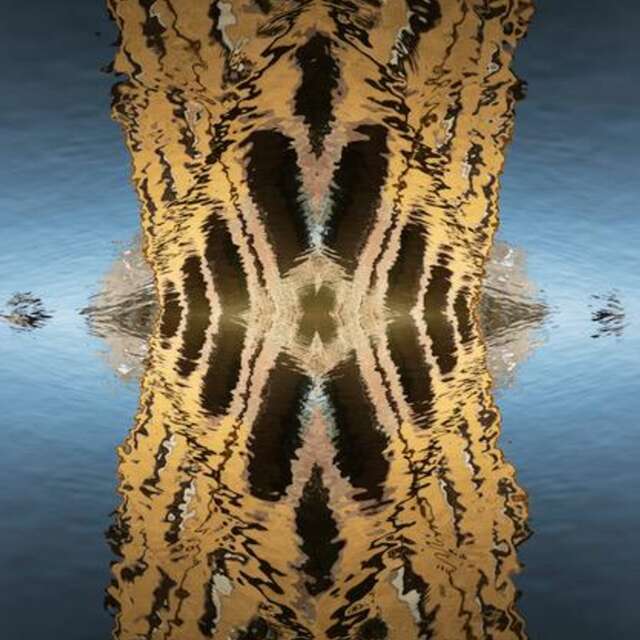 EXPOSITION PHOTOGRAPHIQUES D'IRENE DORIA - IMPRESSIONS CONTEMPORAINES