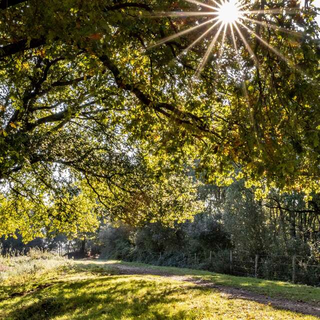 MARAIS ET BOCAGE