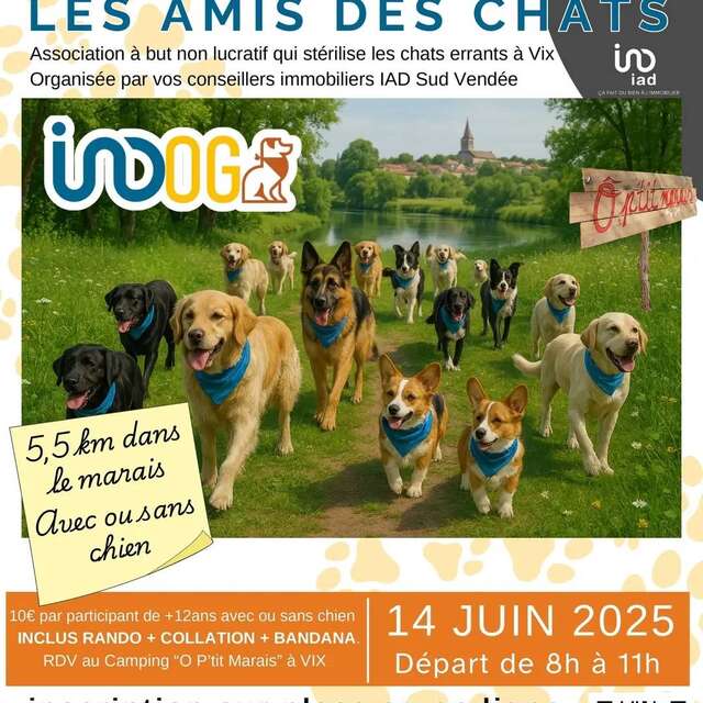 Randonnée canine au profit d'une association