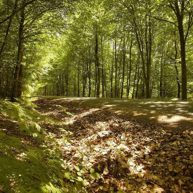 CIRCUIT VTT N°13 - SAINT-MICHEL-LE-CLOUCQ