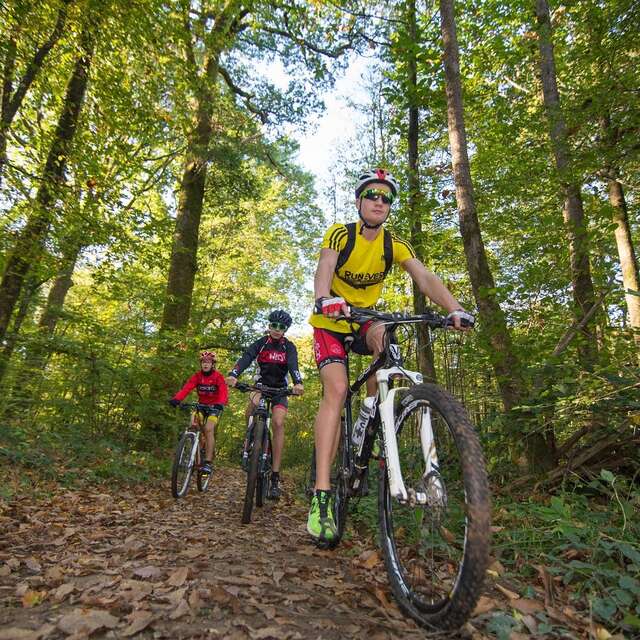 CIRCUIT VTT N°4 - SAINT-LUC