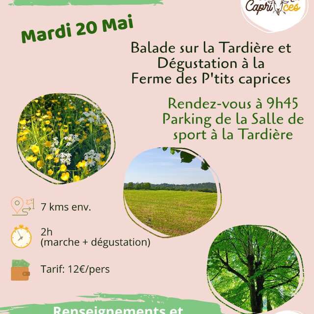 Balade et dégustation