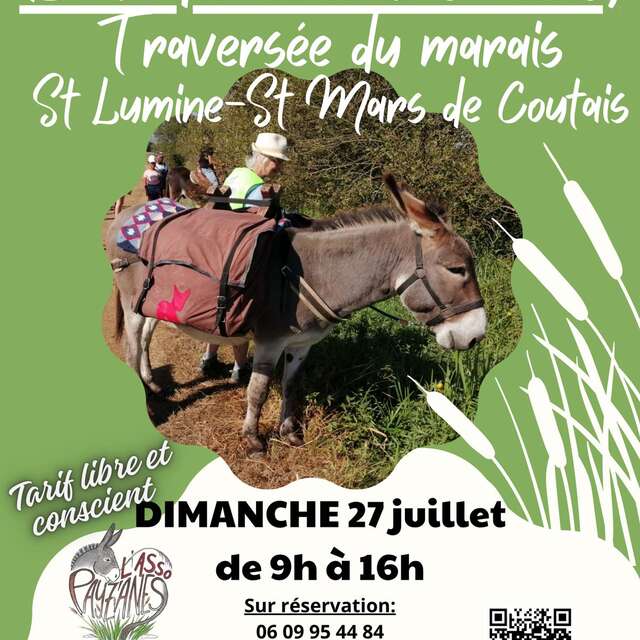 BALADE AVEC LES ANES