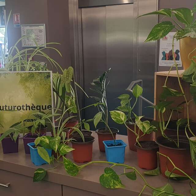 INAUGURATION DE LA BOUTUROTHÈQUE