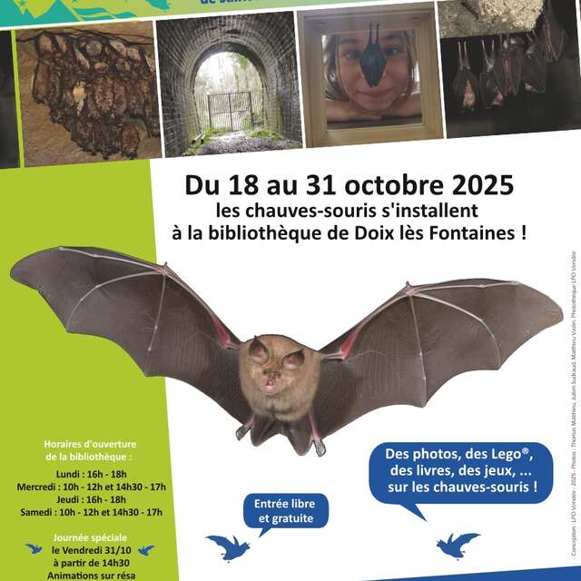 Les chauves-souris du Sud-Vendée