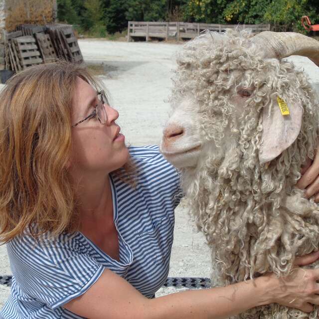 MOHAIR DU MAINE
