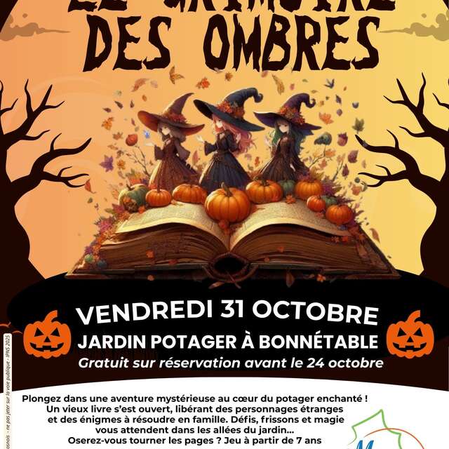 Le grimoire des ombres