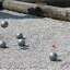 Concours de Pétanque