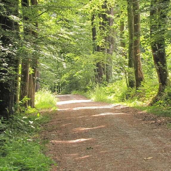 Tracé pédestre La Porte du Bocage