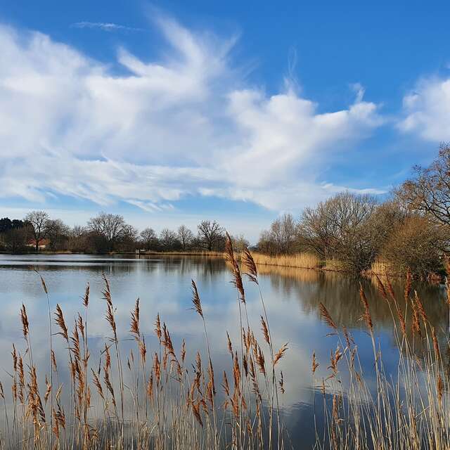 Circuit pédestre Les Petits Gâts