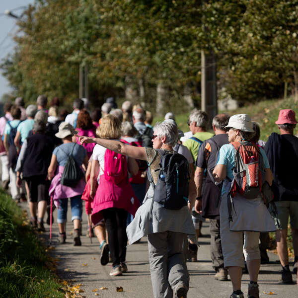 Randonnée gourmande avec visite du Parc Canadien