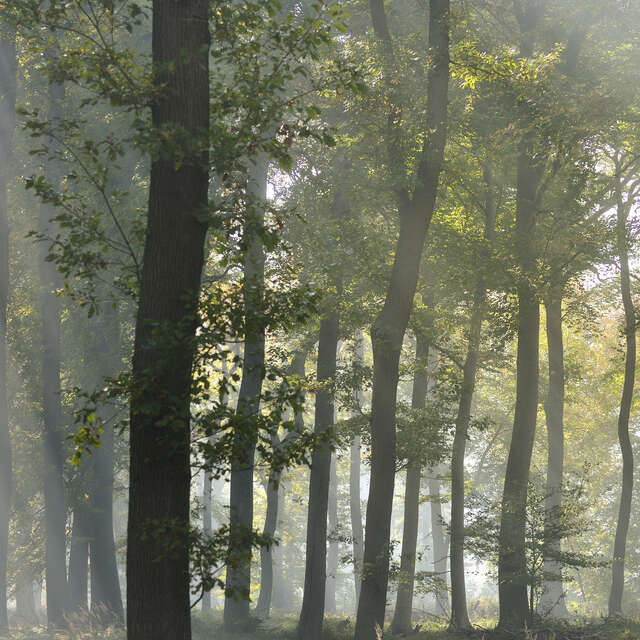 Colloque Art et environnement « une alliance par nature »