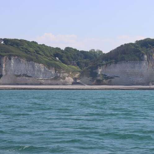 Rando guidée : Formation et vie des falaises