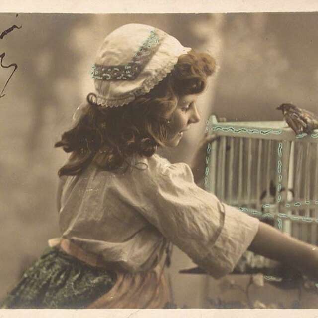 Où es-tu, petit lapin ? - Atelier jeune public