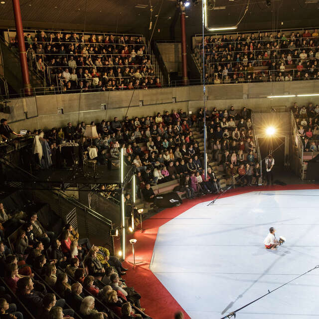 Spectacle Nuit du Cirque au Cirque-Théâtre d'Elbeuf