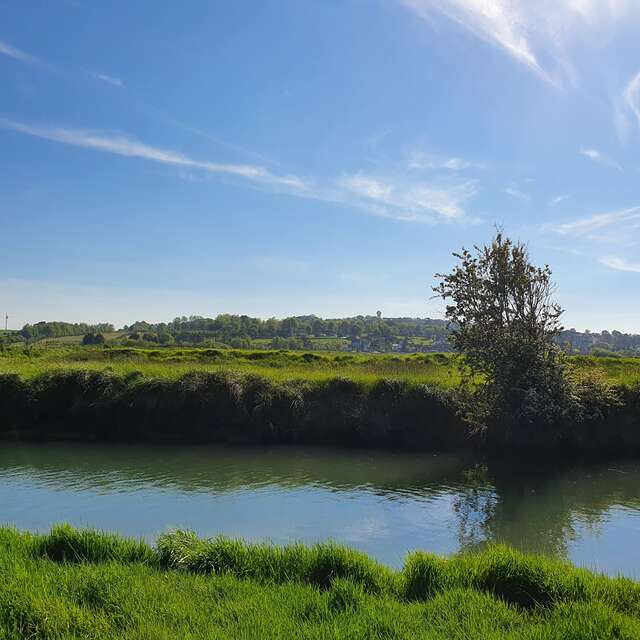 Balade commentée : Faune et Flore du marais de la Saâne