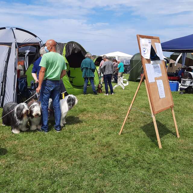 Exposition canine nationale
