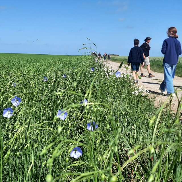 Fête de l'écotourisme à Quiberville-sur-Mer