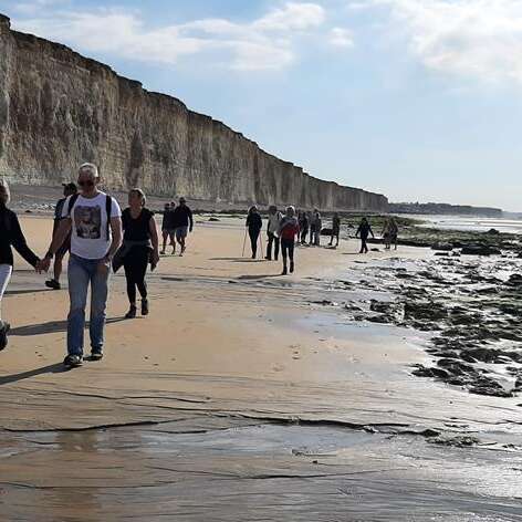 Du rivage à l'assiette