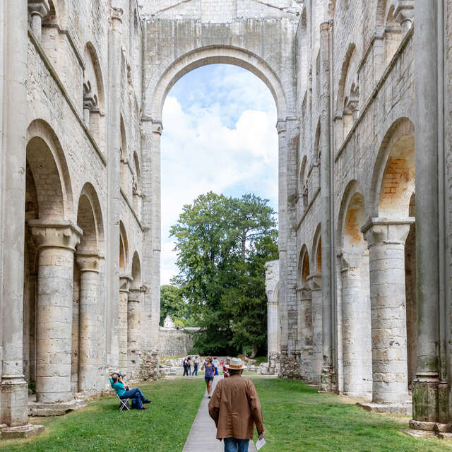 Abbaye et parc de Jumièges
