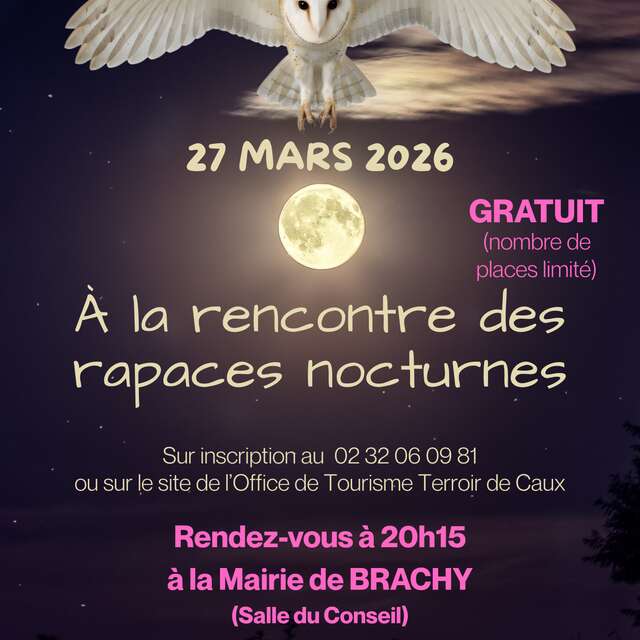 A la découverte des rapaces nocturnes