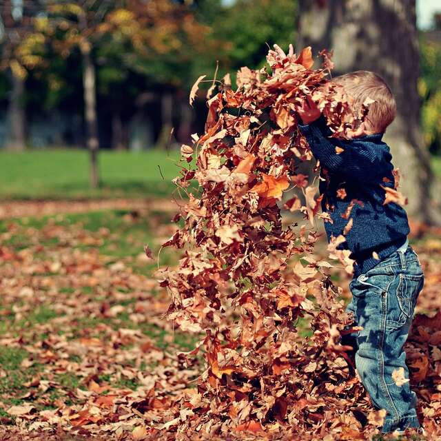 Atelier petite enfance - L'Automne