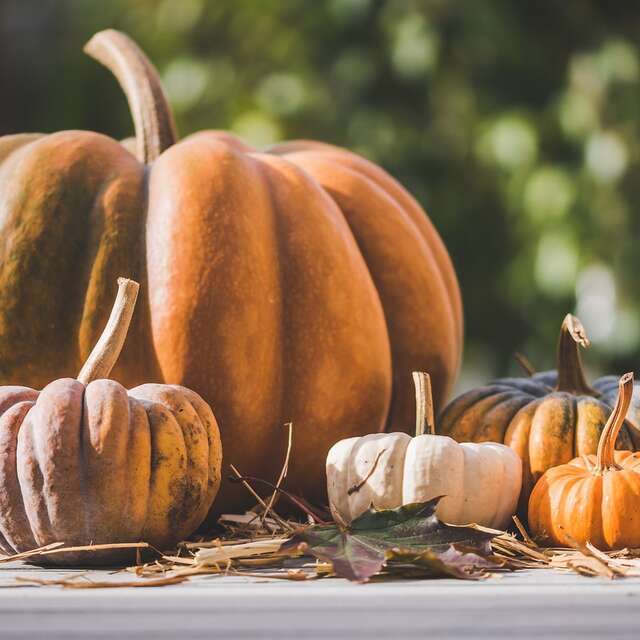 Balades contées Halloween
