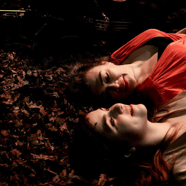 Opéra - Birds on a Wire - Dom La Nena & Rosemary Standley