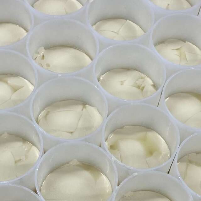 Camembert le 5 frères