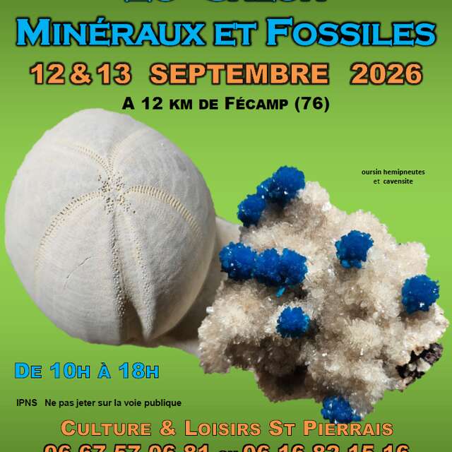SALON - Minéraux et fossiles