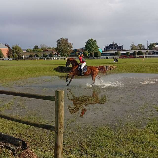 Carrière d'entraînement et de compétition