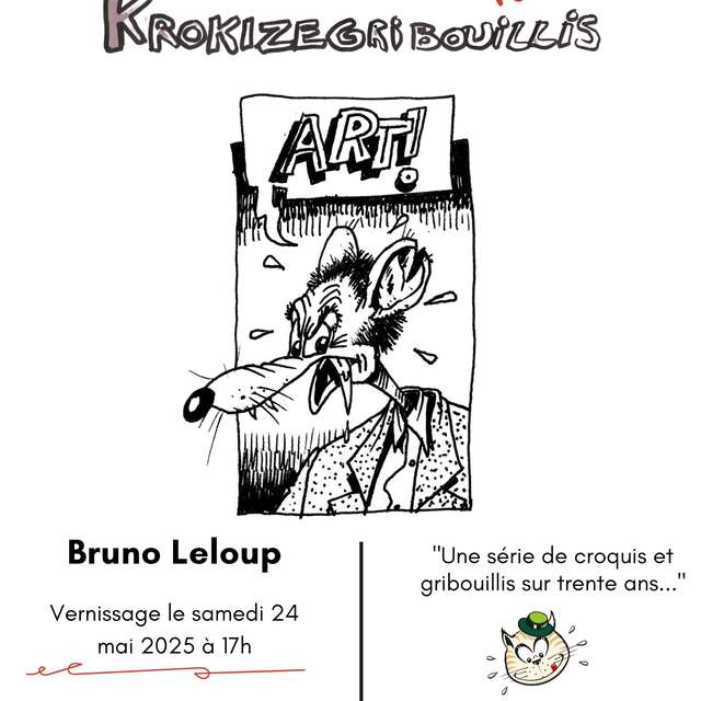 Krokizégribouillis