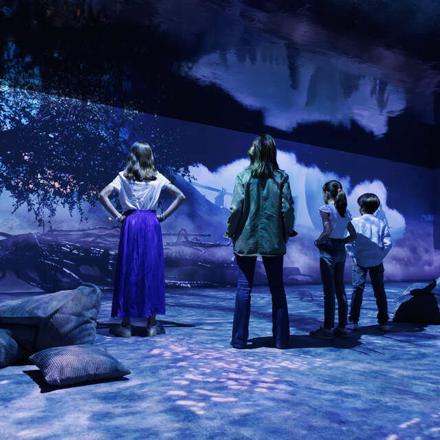 Chasse aux oeufs Vikings