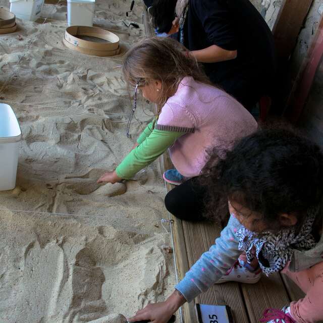 Journées Nationales de l'Archéologie