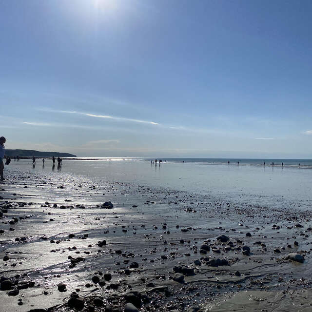 [Visite guidée] Dieppe depuis l'ESTRAN : étranges prespectives et lignes de ville