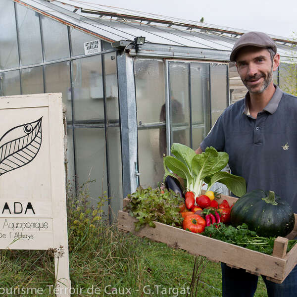 Randonnée découverte de la Ferme Aquaponique
