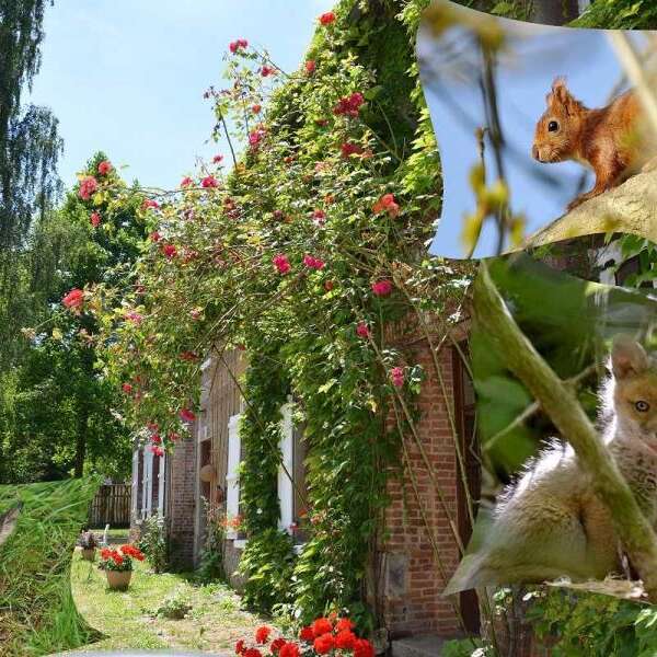 Gîtes de France® - Le Refuge