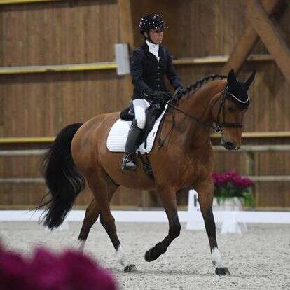 Concours régional de dressage - Haras du Loup
