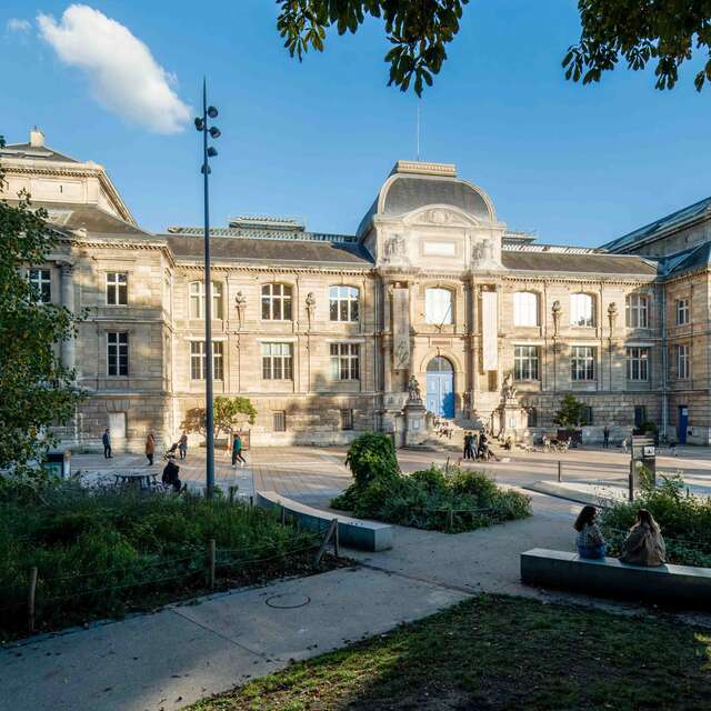 Atelier : les danses du "grand bal"