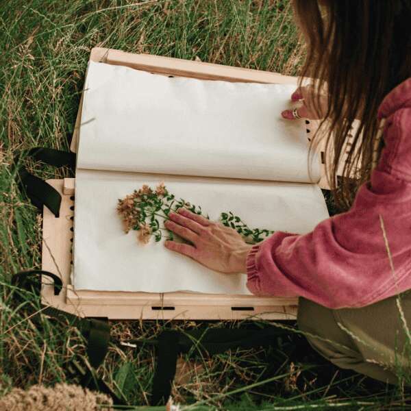 Atelier enfants - Jardinières mellifères