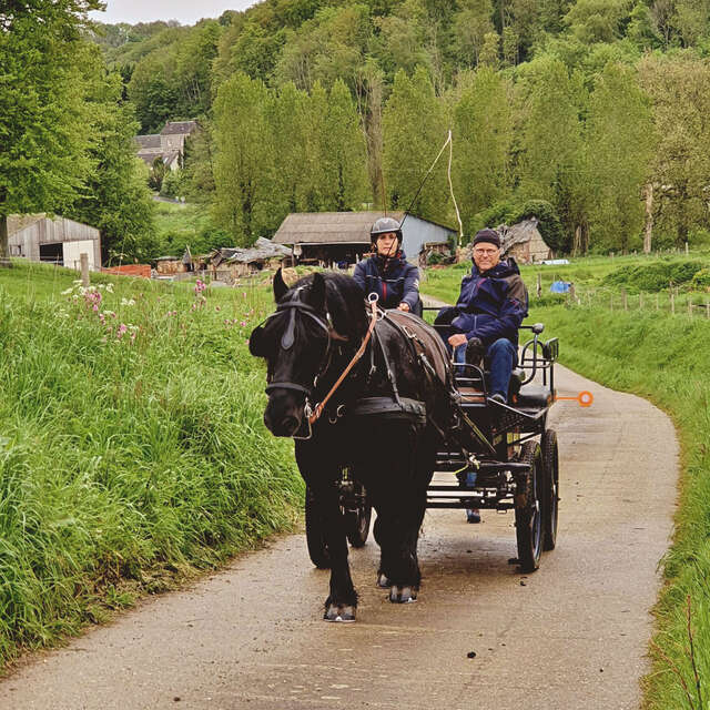 Balade en calèche, au pas des chevaux