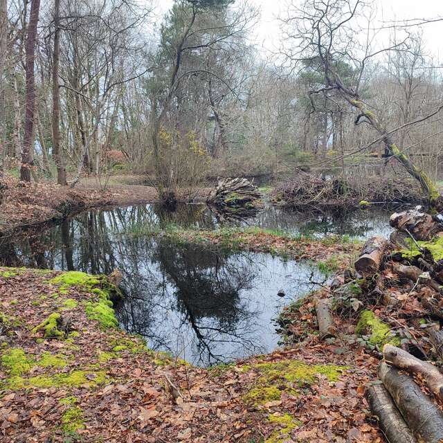 [Sortie nature] Le réveil du bois des communes